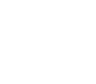 Logo White